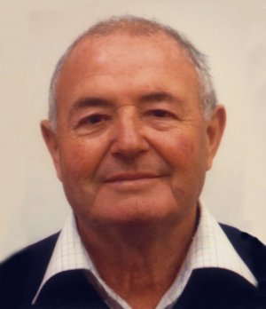 Gamba Aristide