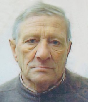 Cattaneo Misaele