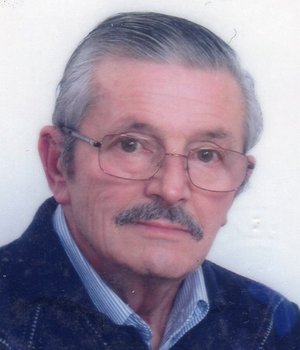 Ravelli Luigi (gino)