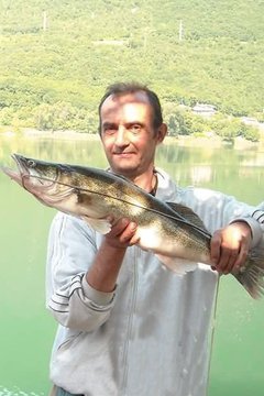 Facchi Gilberto