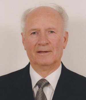 Bergamini Arduino