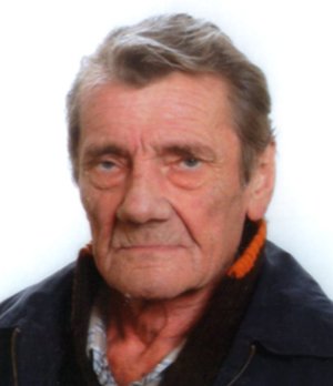 Terzi Cesare (mario)