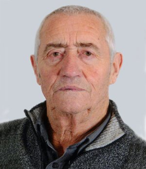 Mangili Alcide