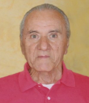 Vanotti Giulio