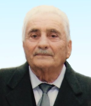 Carrara Virgilio (egidio)