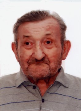 Maestroni Carlo