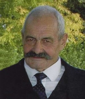 Nava Arcivide