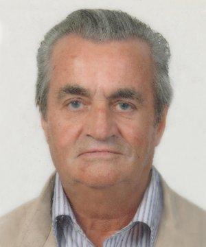 Arrigoni Luigi (gino)