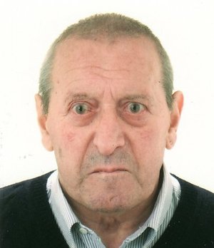 Milesi Domenico