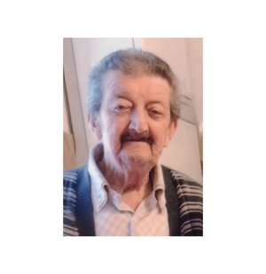 Bellini Ernesto