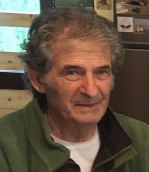 Zambelli Bruno
