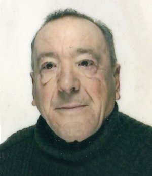 Bonicelli Romano