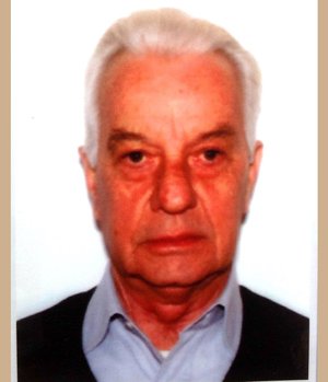 Zonca Gianmario
