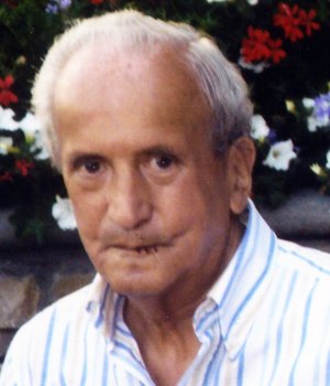 Salvi Raffaele