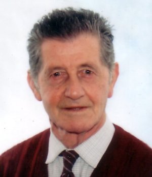 Vigano' Emilio