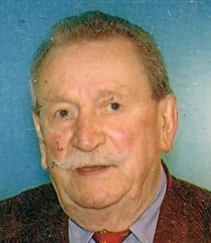 Bottinelli Irineo (rino)
