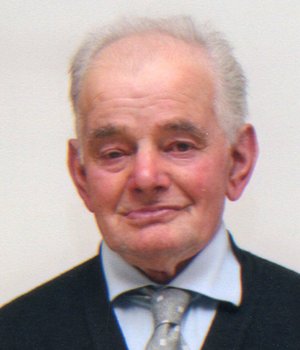 Magno Carlo (carlino)