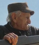 Gallo Giulio