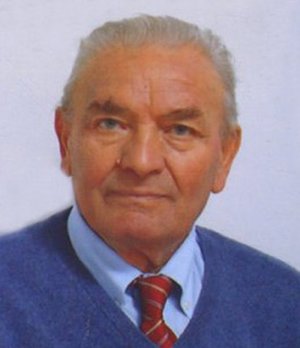 Arici Luigi (gino)