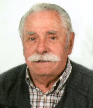 Monti Virgilio (gino)