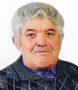 Lavetti Francesco (pino)