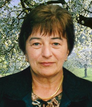 Messa Carolina