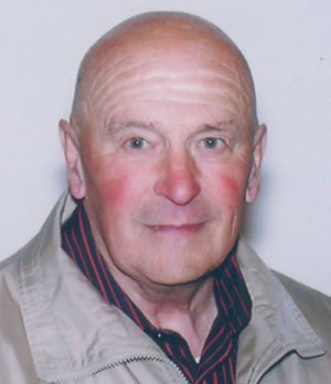 Bosio Emilio
