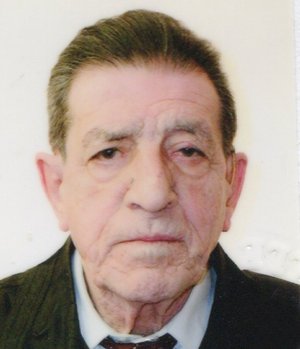 Gargantini Mansueto