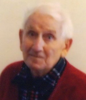 Testa Camillo