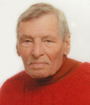 Bertuletti Gianni