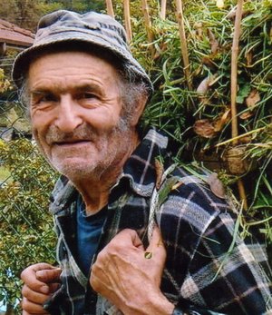 Visini Luigi