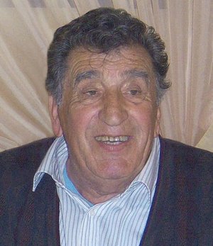 Albini Anselmo (bosca)