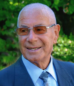 Verzeroli Michele