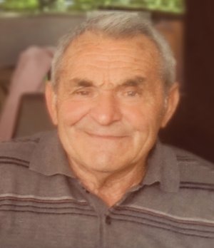 Codazzi Aquilino