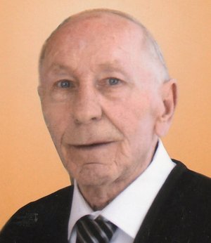 Vavassori Romano