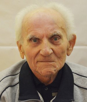 Gambirasi Leone (lupo)
