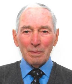 Testa Virginio