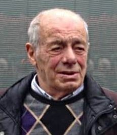 Pesenti Domenico (meneghi')