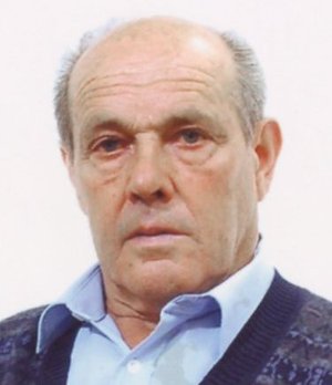 Palamini Alberto