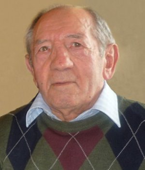 Bergamaschi Francesco