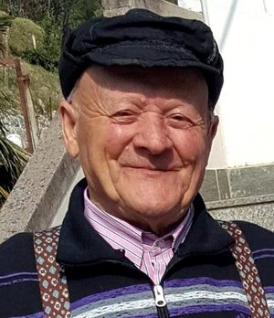Bresciani Gino