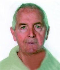 Cavalli Emilio (gino)