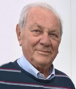 Facoetti Domenico
