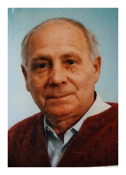 Vedovati Stefano