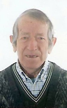 Sonzogni Domenico