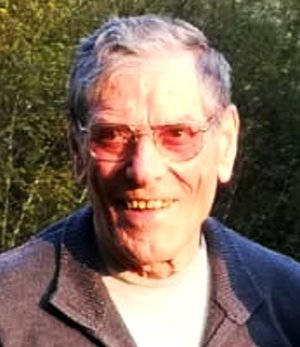 Tomasoni Giuseppe (bepi)