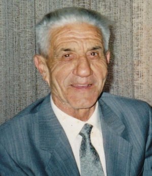 Berbenni Palmino
