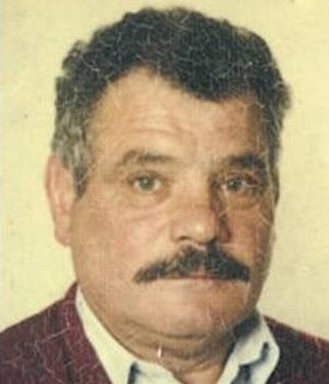 Traini Palmino