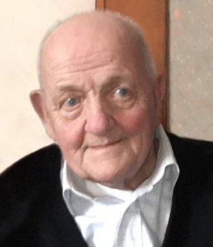 Frigeni Virginio (gino)