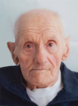 Grigis Alfredo